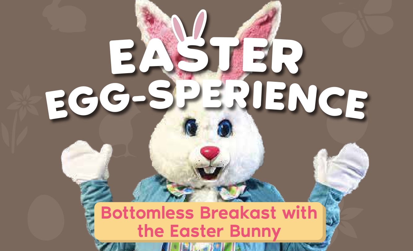 Thumbnail showing The Easter Bunny for The Ice Cream Farm Easter event. A white rabbit with blue eyes and a pink nose.